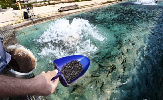 aquaManager: Proveedor líder en tecnología para una acuicultura precisa, automatizada y predecible