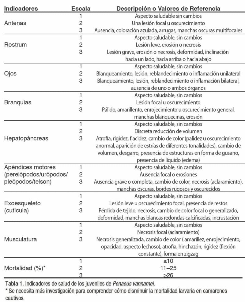 Métodos no invasivos para evaluar el bienestar del camarón blanco del Pacífico (Penaeus vannamei) cultivado