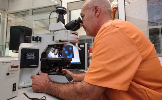 Un estudio de EcoAqua sobre el uso de probióticos en la alimentación de la lubina, reconocido por Apromar como el “Trabajo más relevante de 2023”