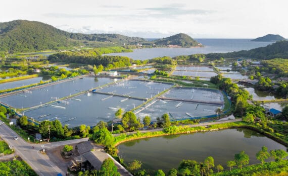 Análisis completo de los logros de sostenibilidad de Cargill Aqua Nutrition en 2023