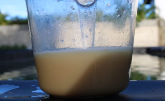 Uso de sueros de leche y soya fermentada para prevención de enfermedades