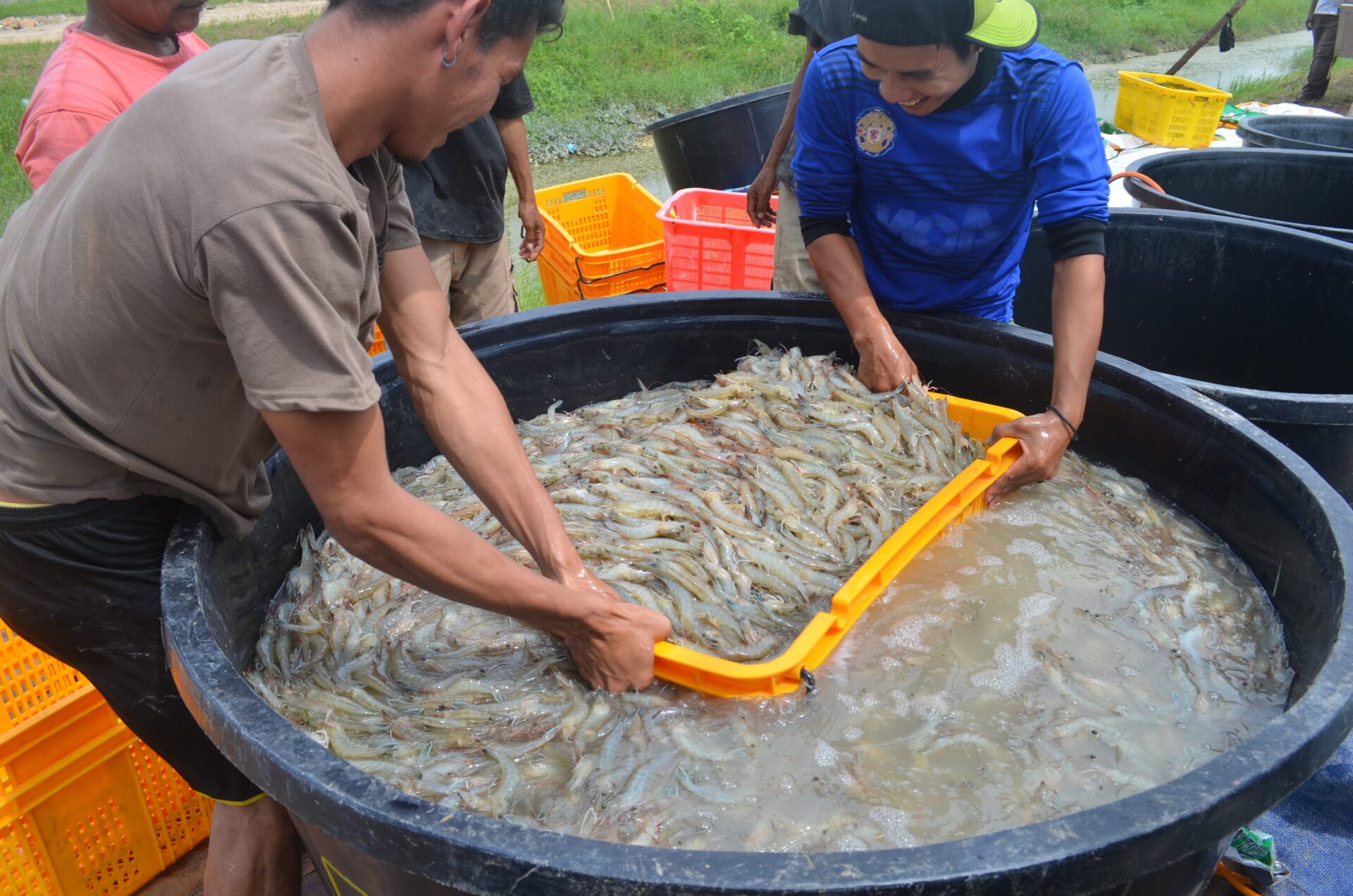 Muchos lugares gozan actualmente de altos niveles de productividad porque el entorno es adecuado para la producción; los cambios climáticos afectarán a esta situación.
