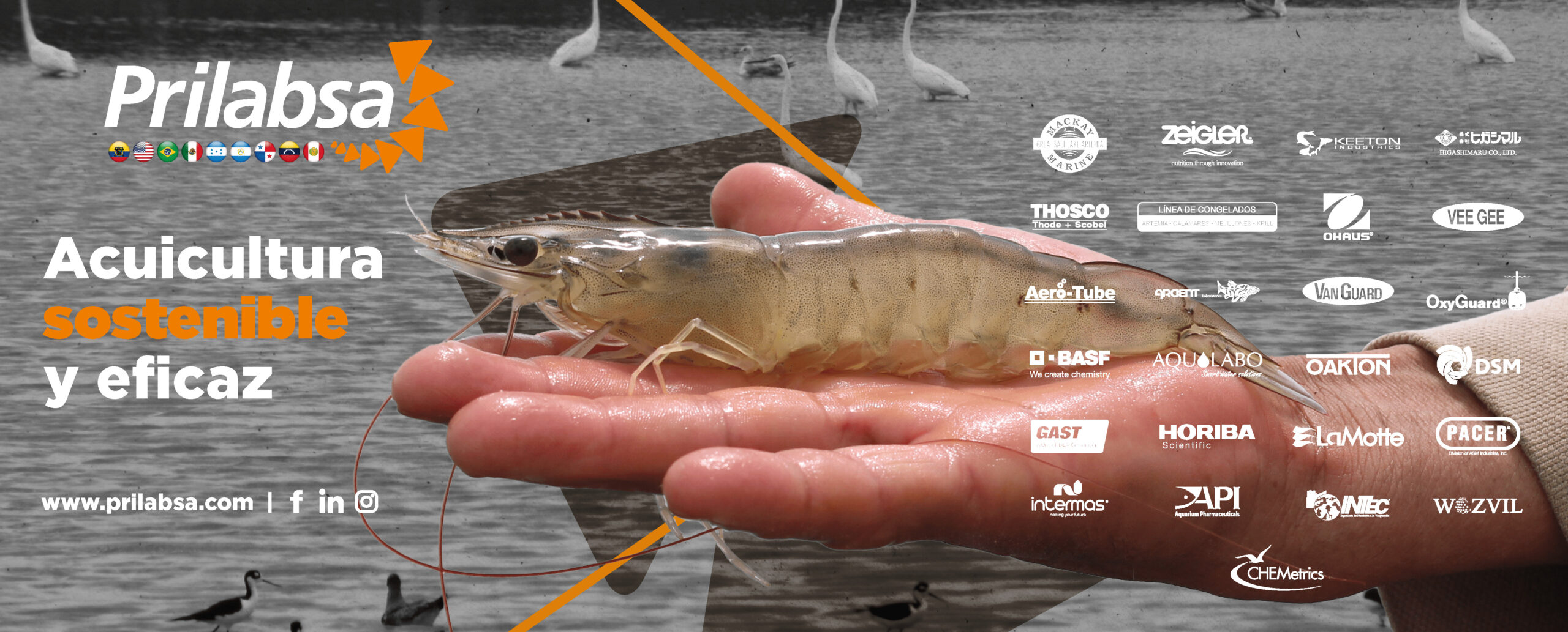 PRILABSA_HOME_EXTSUP