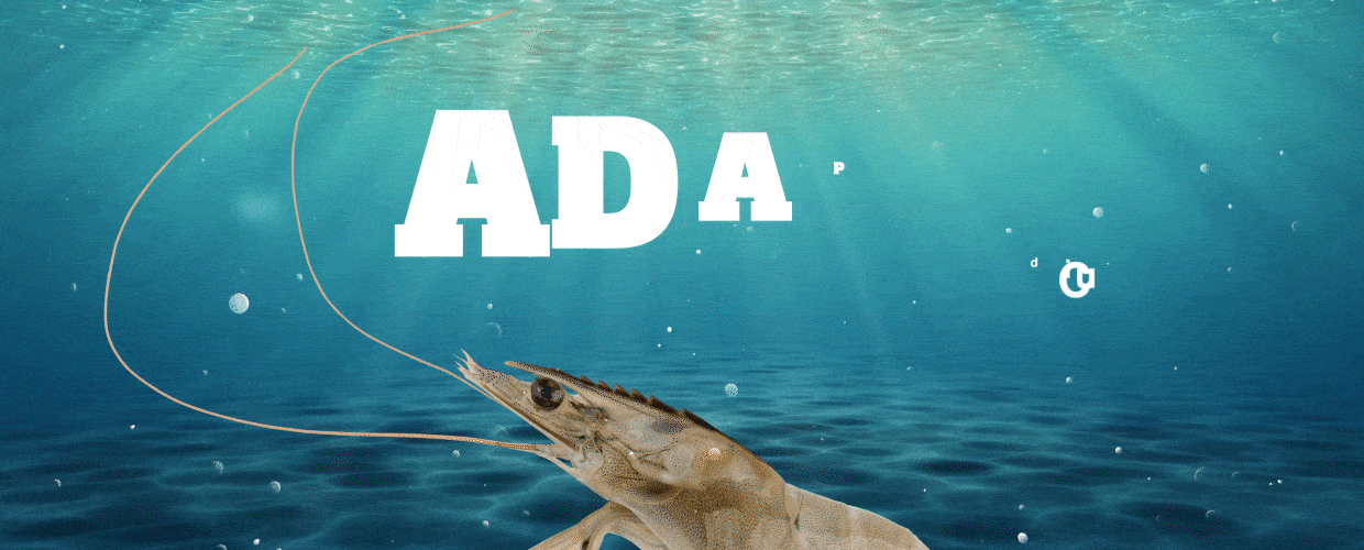 AQUAXCEL_HOME_EXTSUP