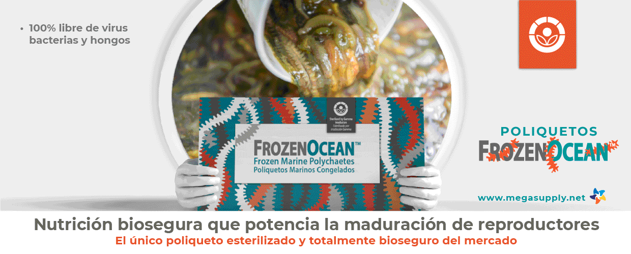 MEGASUPPLY_HOME_EXTSUP