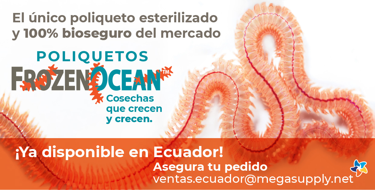 MEGASUPPLY_ART_EXTSUP