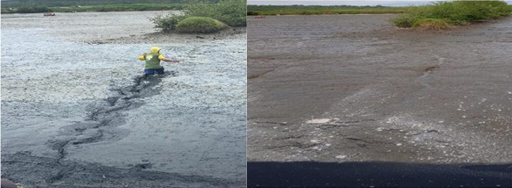 Antes y después de una granja en Ecuador.