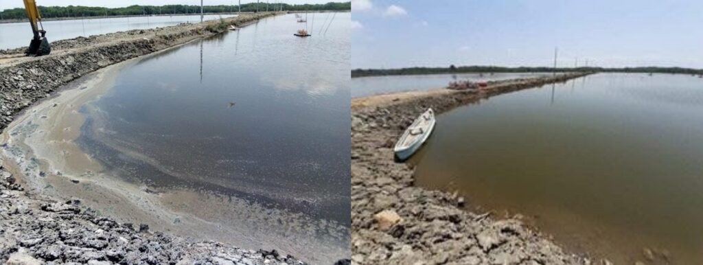 Antes (10/2019) y después (12/2019). Viera Cruz, Islas del Golfo de Guayaquil