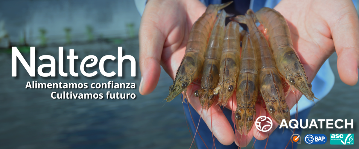 NALTECH_HOME_EXTSUP_PRINCIPAL