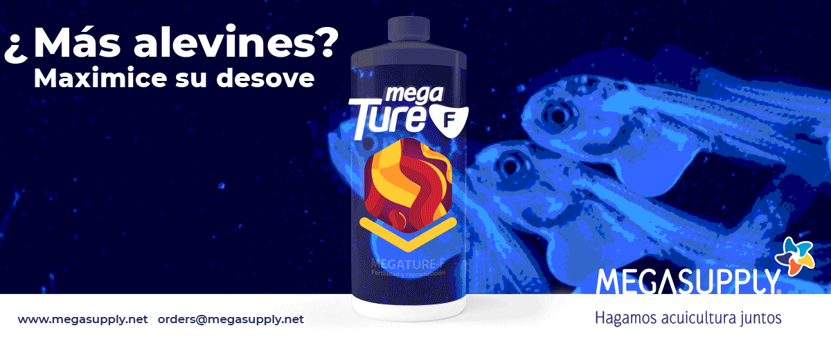 MEGASUPPLY_HOME_EXTSUP