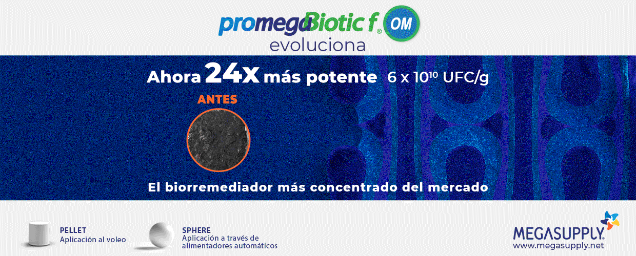 MEGASUPPLY_ART_EXTSUP