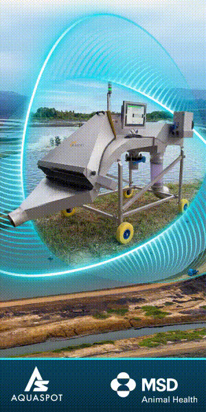 HOME_BANNER_LATERAL_MSD