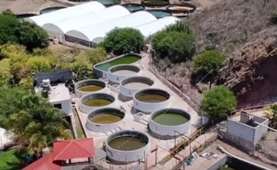 Vista aérea de las instalaciones de Peña Colorada de Gandhó, en el Valle del Mezquital, Hidalgo.