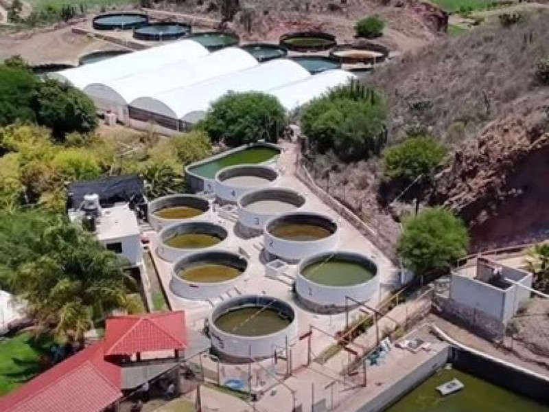 Vista aérea de las instalaciones de Peña Colorada de Gandhó, en el Valle del Mezquital, Hidalgo.