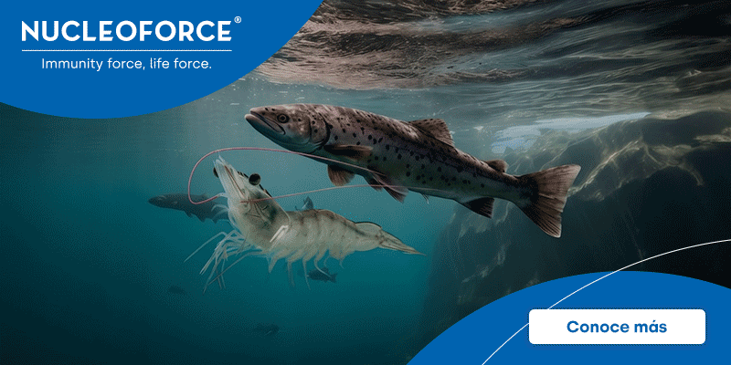 BIOIBERICA_HOME_EXTSUP_PRINCIPAL