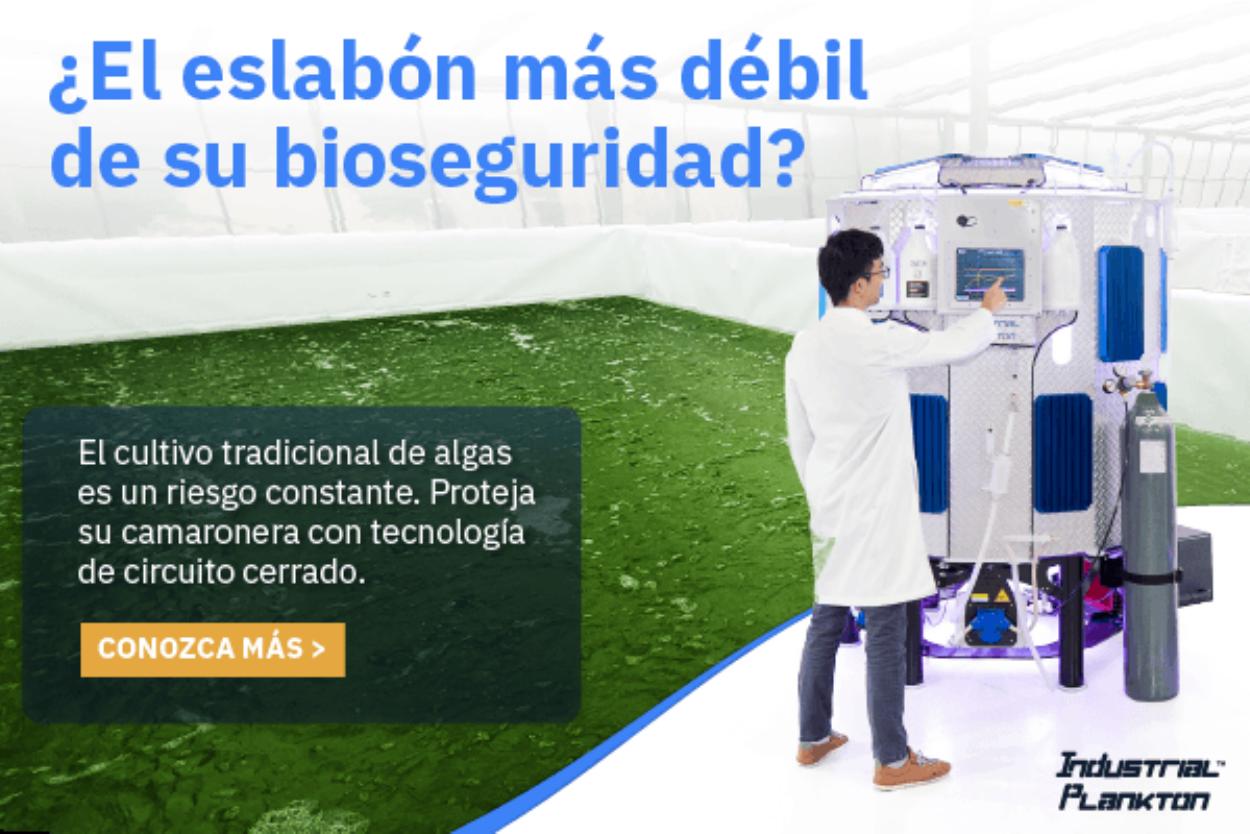 Cultivo de microalgas bioseguro
