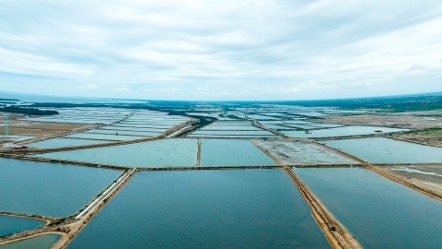 Vista aérea de piscinas camaroneras de escala comercial en un complejo de cultivo