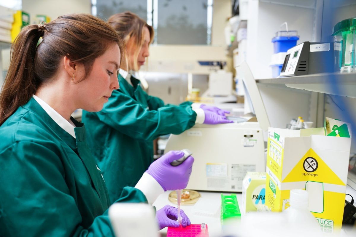 Técnicas de laboratorio realizando extracción de ADN y genotipado de SNPs