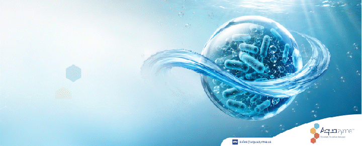 AQUABIOME_HOME_EXTSUP_PRINCIPAL