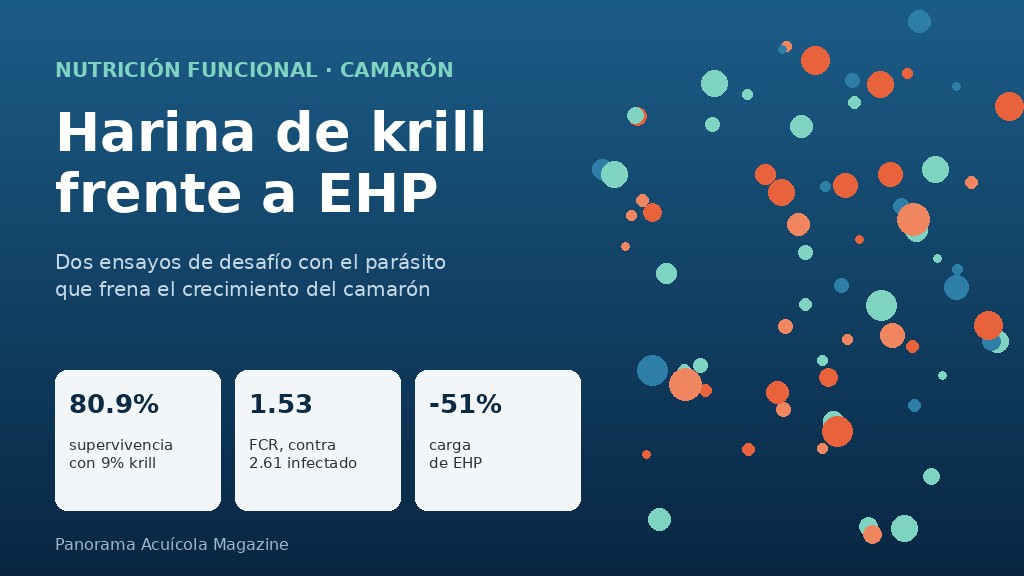 Gráfico con los resultados de harina de krill frente a EHP: 80.9% de supervivencia, FCR de 1.53 y 51% menos carga de EHP