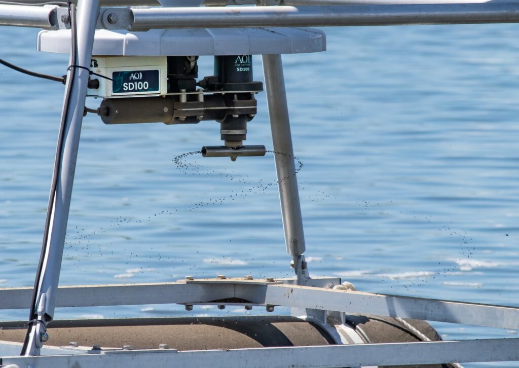 Dispensador AQ1 SD100 montado bajo la tolva de un alimentador flotante, lanzando pellets de alimento en abanico sobre el agua de la piscina