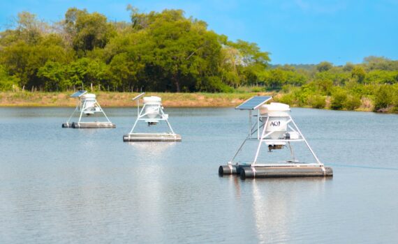 Tres alimentadores flotantes AQ1 con panel solar y tolva blanca en una piscina de cultivo de camarón, con vegetación al fondo