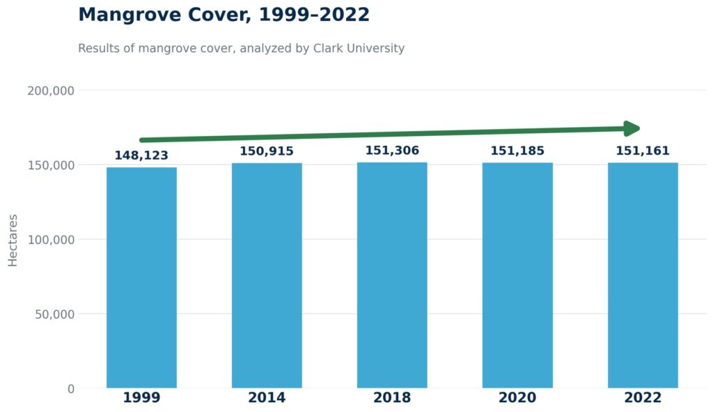 Gráfica de la evolución de la cobertura de manglar en Ecuador entre 1999 y 2022, en hectáreas