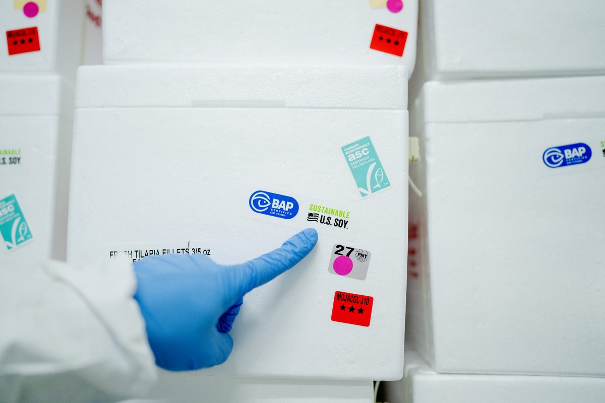 Caja de filetes frescos de tilapia con etiquetas de certificación BAP, ASC y Sustainable U.S. Soy, señalada por una mano con guante azul
