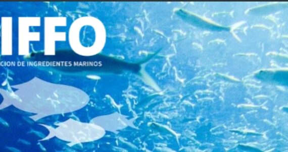 Iffo2