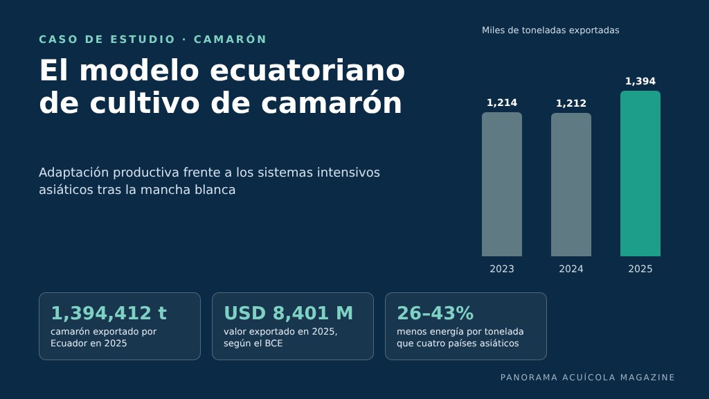 Modelo ecuatoriano de cultivo de camarón: exportaciones de Ecuador en miles de toneladas y tres indicadores clave