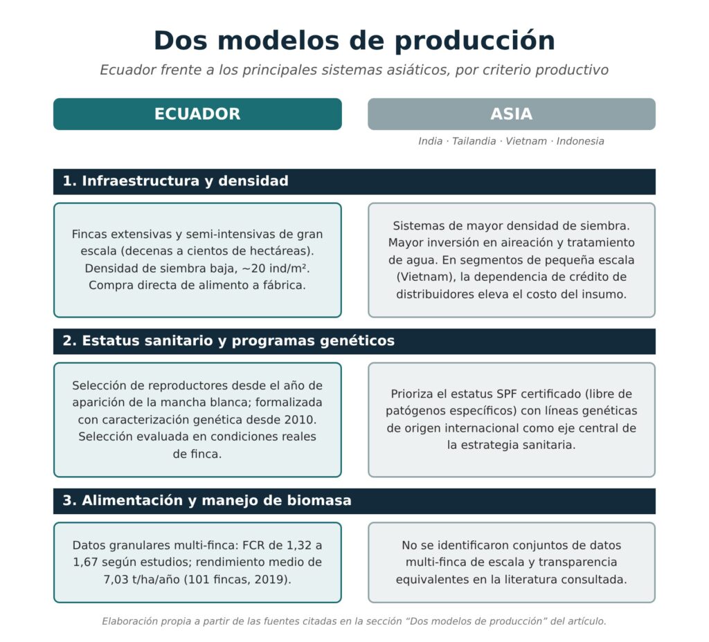 Cuadro comparativo del modelo ecuatoriano y el modelo asiático de cultivo de camarón en infraestructura y densidad, estatus sanitario y genética, y alimentación