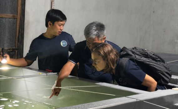 Técnicos de INVE Aquaculture y Eva Werbrouck observan un tanque de cultivo larvario de camarón con agua verde, iluminado con una linterna