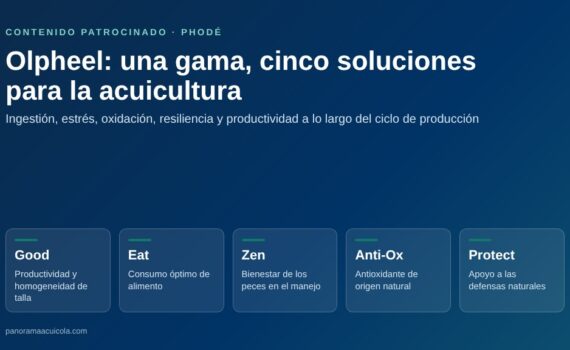 Gráfico con las cinco soluciones de la gama Olpheel de Phodé: Good, Eat, Zen, Anti-Ox y Protect, con la función de cada una