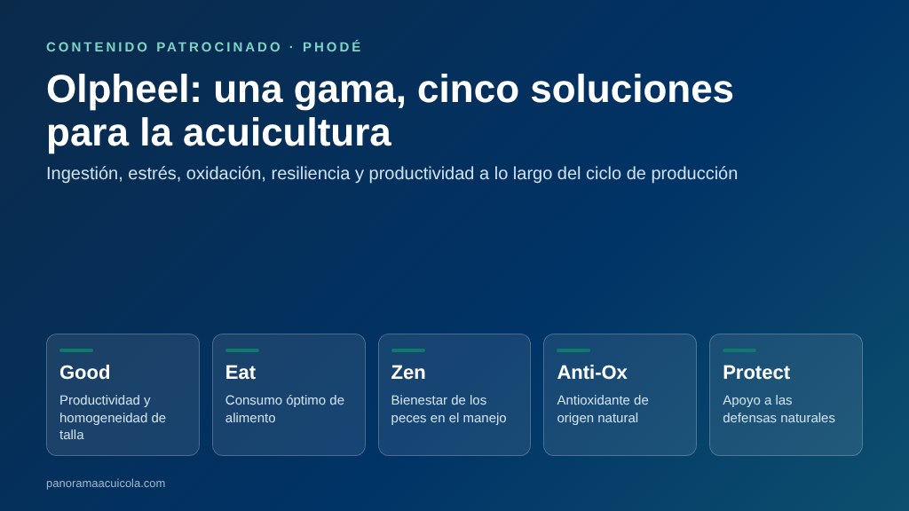 Gráfico con las cinco soluciones de la gama Olpheel de Phodé: Good, Eat, Zen, Anti-Ox y Protect, con la función de cada una